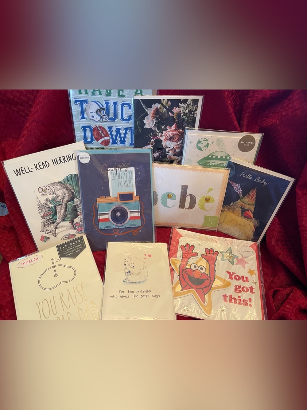 Assorted Greeting Cards 10 Pack - Colorful Designs (Camera, Floral, Baby, Elmo)